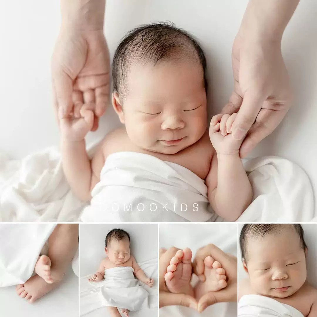 ผ้าพื้นหลังดูดซับแสงสีดำสำหรับ - Photography Lighting And Background บทวิจารณ์และราคา